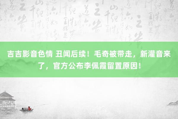 吉吉影音色情 丑闻后续！毛奇被带走，新灌音来了，官方公布李佩霞留置原因！