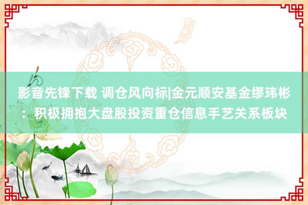 影音先锋下载 调仓风向标|金元顺安基金缪玮彬：积极拥抱大盘股投资重仓信息手艺关系板块