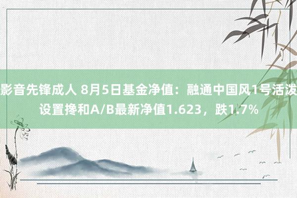 影音先锋成人 8月5日基金净值：融通中国风1号活泼设置搀和A/B最新净值1.623，跌1.7%