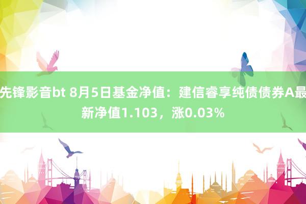 先锋影音bt 8月5日基金净值：建信睿享纯债债券A最新净值1.103，涨0.03%