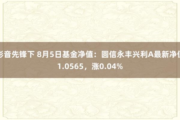 影音先锋下 8月5日基金净值：圆信永丰兴利A最新净值1.0565，涨0.04%