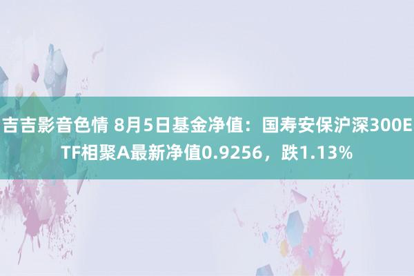 吉吉影音色情 8月5日基金净值：国寿安保沪深300ETF相聚A最新净值0.9256，跌1.13%