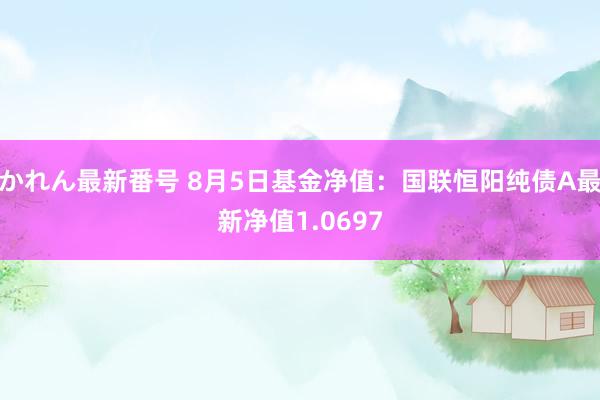 かれん最新番号 8月5日基金净值：国联恒阳纯债A最新净值1.0697