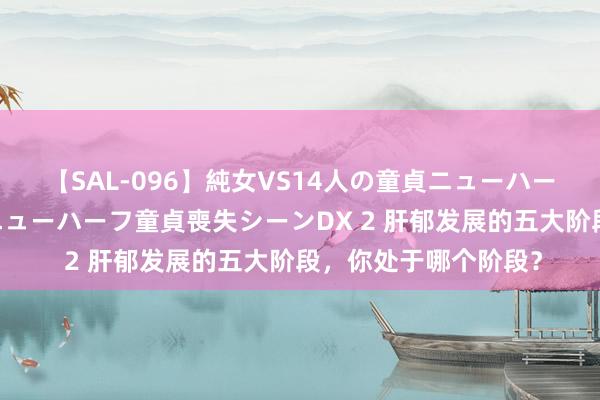 【SAL-096】純女VS14人の童貞ニューハーフ 二度と見れないニューハーフ童貞喪失シーンDX 2 肝郁发展的五大阶段，你处于哪个阶段？