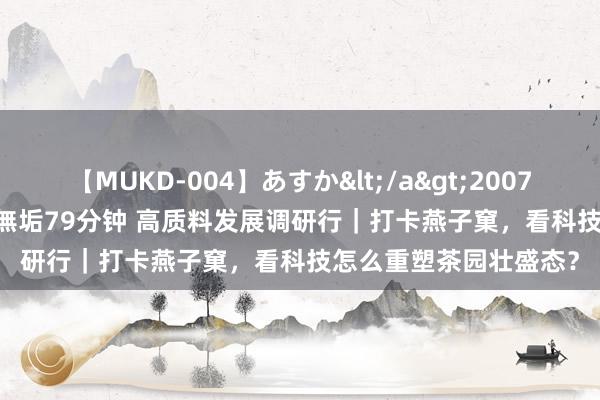 【MUKD-004】あすか</a>2007-09-13無垢&$無垢79分钟 高质料发展调研行｜打卡燕子窠，看科技怎么重塑茶园壮盛态？