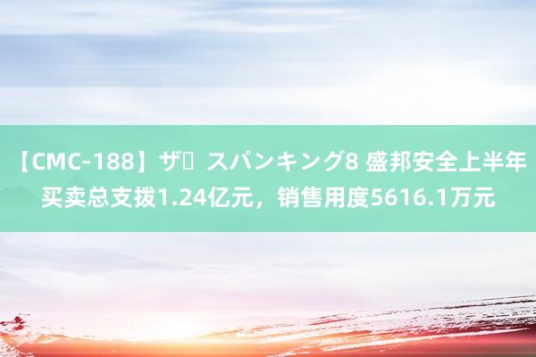 【CMC-188】ザ・スパンキング8 盛邦安全上半年买卖总支拨1.24亿元，销售用度5616.1万元