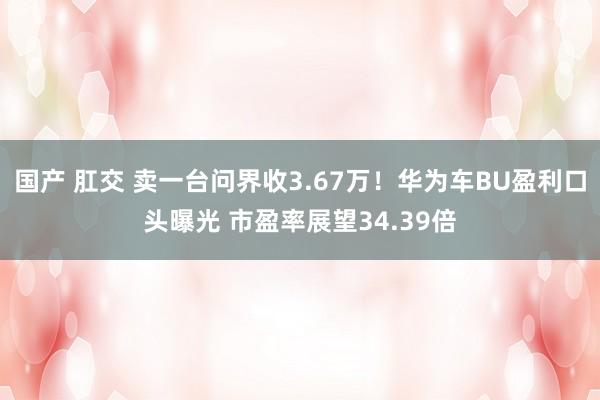 国产 肛交 卖一台问界收3.67万！华为车BU盈利口头曝光 市盈率展望34.39倍