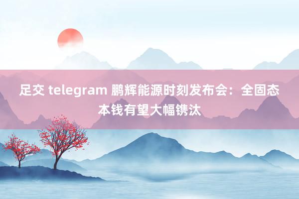 足交 telegram 鹏辉能源时刻发布会：全固态本钱有望大幅镌汰