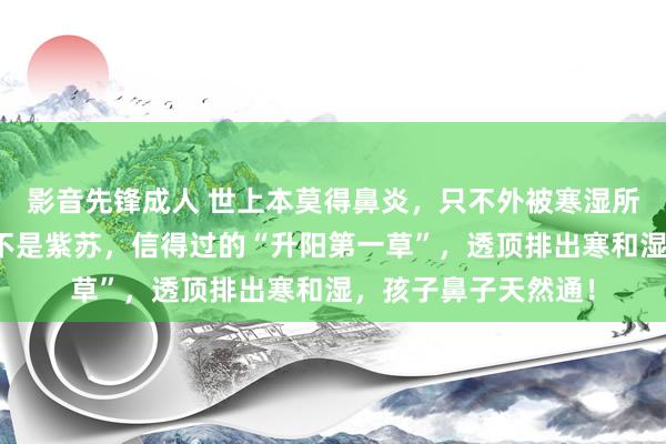 影音先锋成人 世上本莫得鼻炎，只不外被寒湿所伤，不是艾叶，也不是紫苏，信得过的“升阳第一草”，透顶排出寒和湿，孩子鼻子天然通！