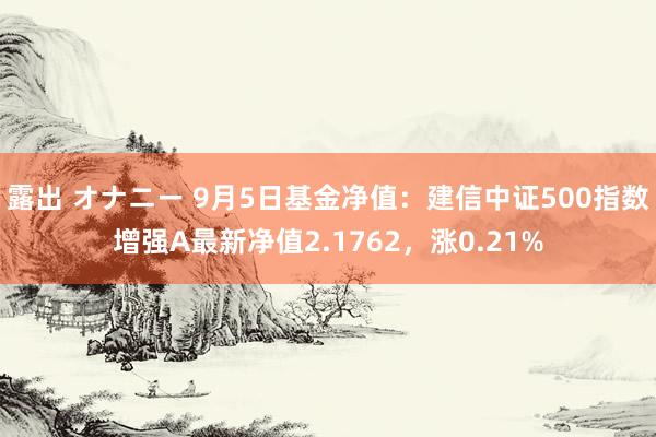 露出 オナニー 9月5日基金净值：建信中证500指数增强A最新净值2.1762，涨0.21%