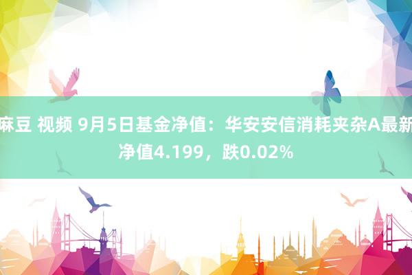 麻豆 视频 9月5日基金净值：华安安信消耗夹杂A最新净值4.199，跌0.02%