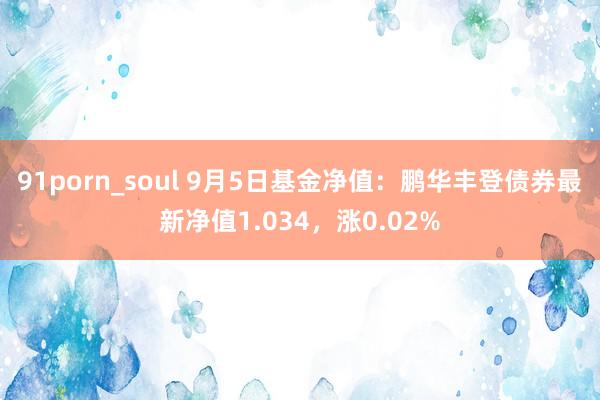 91porn_soul 9月5日基金净值：鹏华丰登债券最新净值1.034，涨0.02%