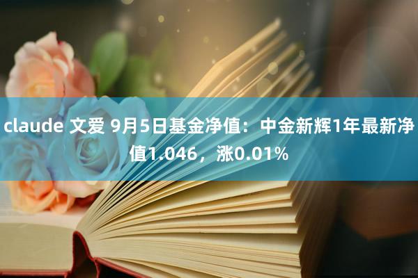 claude 文爱 9月5日基金净值：中金新辉1年最新净值1.046，涨0.01%