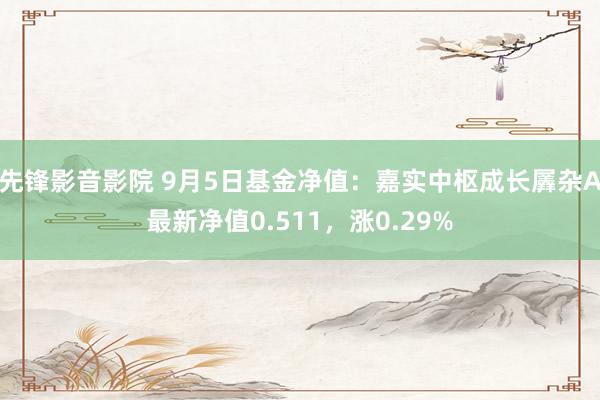 先锋影音影院 9月5日基金净值：嘉实中枢成长羼杂A最新净值0.511，涨0.29%