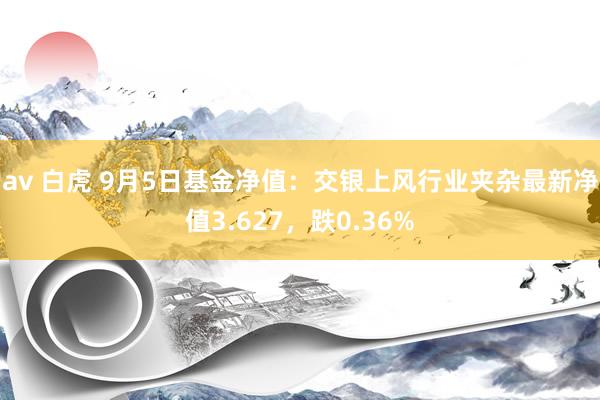 av 白虎 9月5日基金净值：交银上风行业夹杂最新净值3.627，跌0.36%