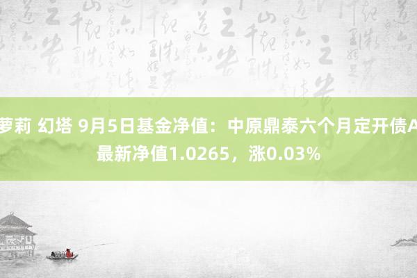 萝莉 幻塔 9月5日基金净值：中原鼎泰六个月定开债A最新净值1.0265，涨0.03%