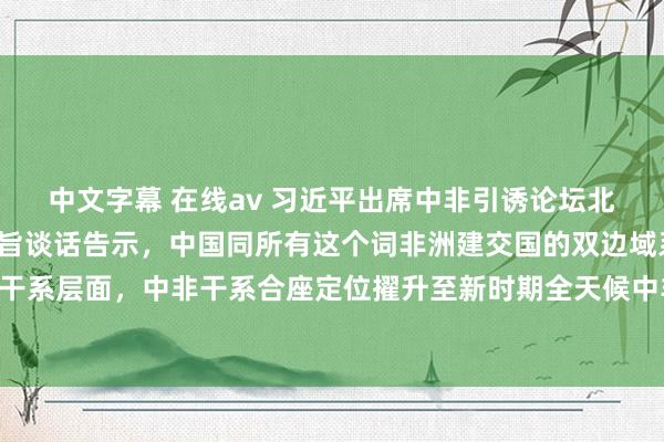 中文字幕 在线av 习近平出席中非引诱论坛北京峰会开幕式并发表主旨谈话告示，中国同所有这个词非洲建交国的双边域系擢升到政策干系层面，中非干系合座定位擢升至新时期全天候中非运谈共同体 中非联袂共逐当代化之梦