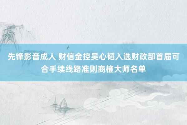 先锋影音成人 财信金控吴心韬入选财政部首届可合手续线路准则商榷大师名单