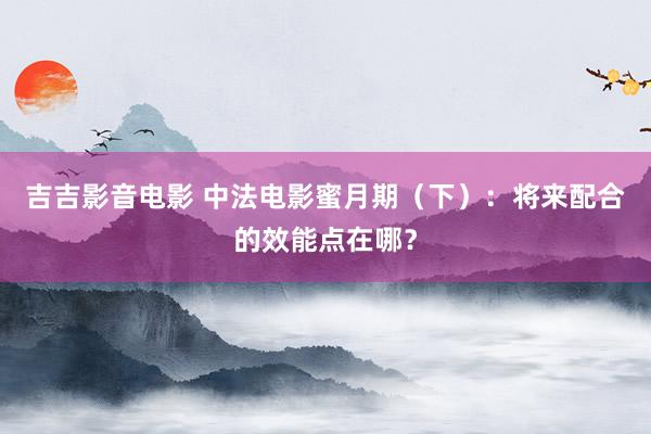 吉吉影音电影 中法电影蜜月期（下）：将来配合的效能点在哪？